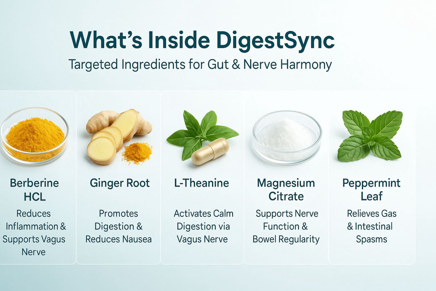 digestsync-all-ingredients